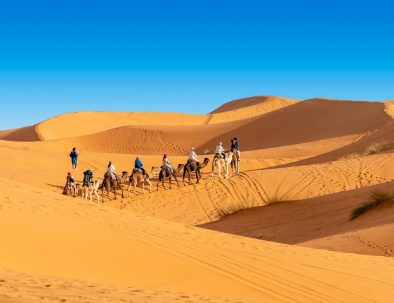 Paseo en camello por Marruecos