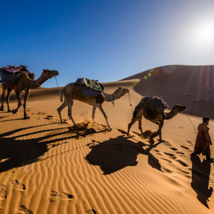 Tour di 3 giorni nel deserto da Agadir