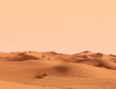 What to do in Merzouga desert Morocco