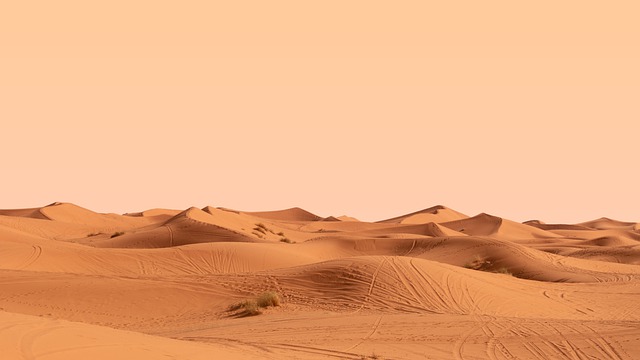 what to do in merzouga desert morocco