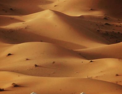 Camel Trekking In Merzouga desert