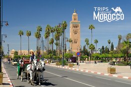 2-day tour from Marrakech to zagora