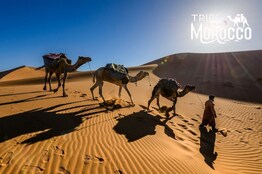 3-day Tour From Marrakech To Fes
