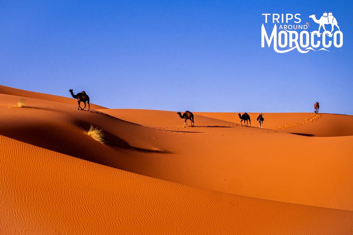 3 day Marrakech desert tour - Day 2: Merzouga to Boumalne Dades
