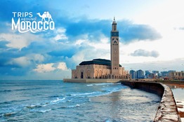 11 Days Morocco Tour From Casablanca