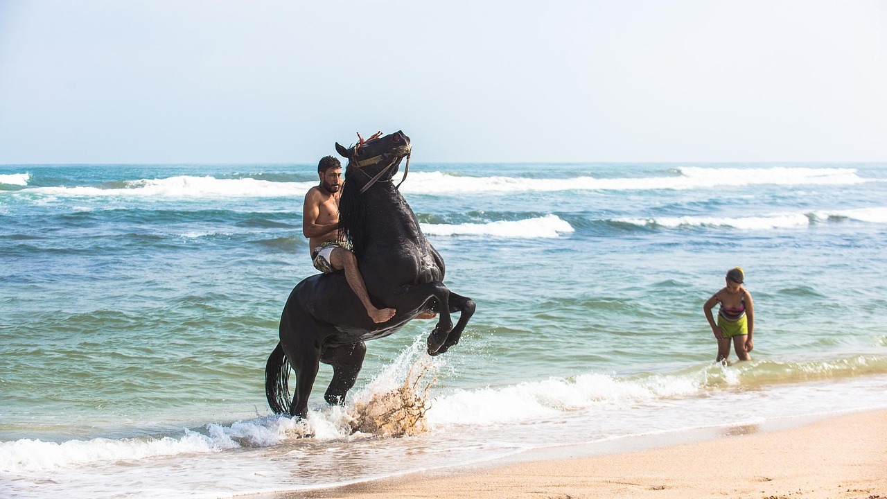 Morocco Horse Riding