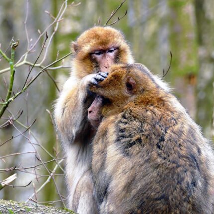 Tour di 6 giorni in Marocco da Fes